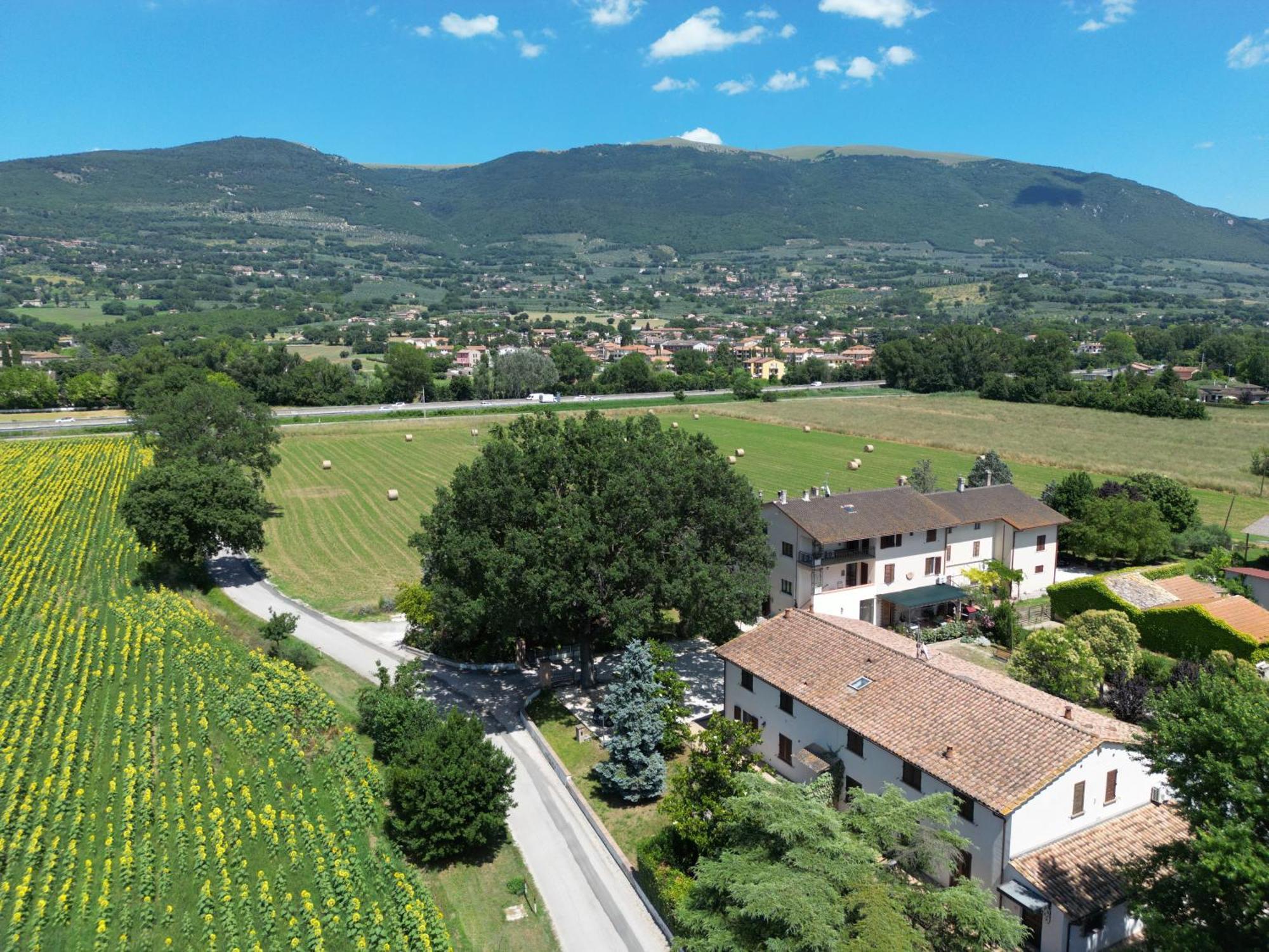Il Quercione Agriturismo Rivotorto Kültér fotó