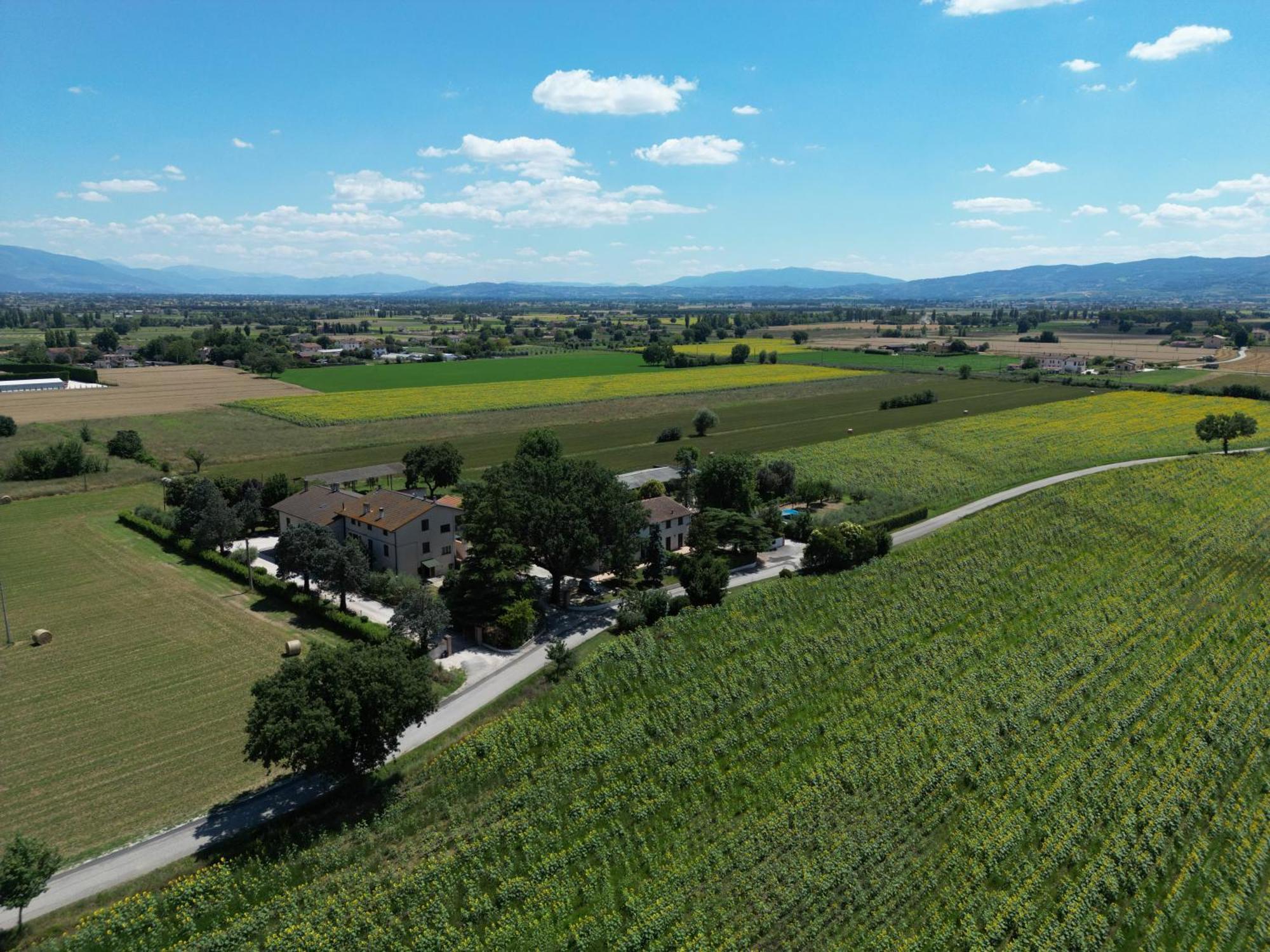 Il Quercione Agriturismo Rivotorto Kültér fotó