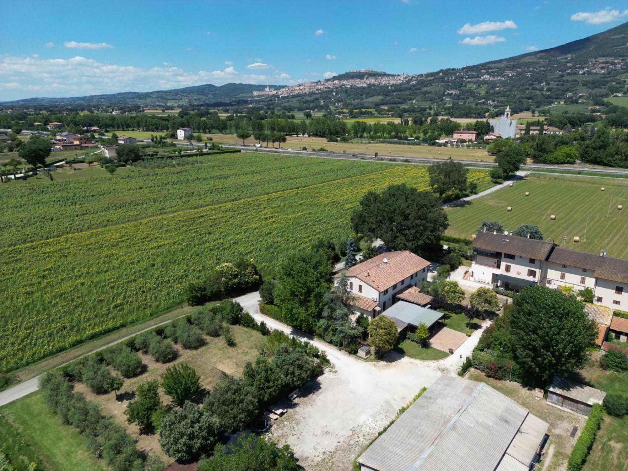 Il Quercione Agriturismo Rivotorto Kültér fotó